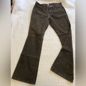 LOFT Bootcut Cords Size 4 Petite